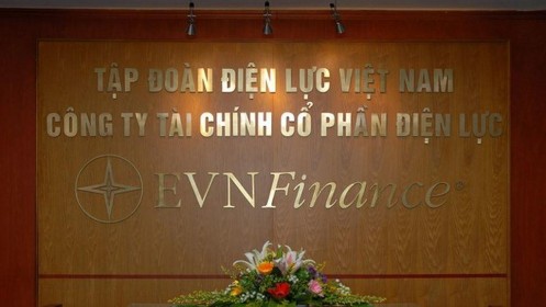 EVN thu về hơn 219 tỷ đồng từ thoái vốn cổ phần tại EVN Finance