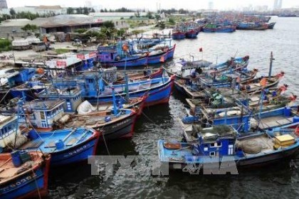 Đà Nẵng: Gần 1.450 tỷ đồng cải thiện môi trường nước