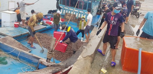 Ngư dân Hà Tĩnh 'trúng mánh', mỗi ngày thu đến 20 triệu từ ốc xoắn, sò nhám