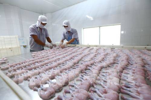 EVFTA: Cú hích cho xuất khẩu nông sản Việt