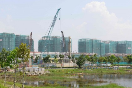 Luật 'đá' nhau, doanh nghiệp khổ