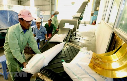 Nhu cầu yếu đẩy giá gạo Việt Nam xuống mức thấp của 12 năm