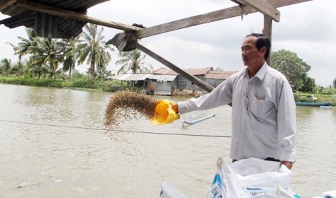 Chuyện Tám Đậu, còng lưng nuôi 2.000 tấn cá/năm rồi ôm tiền tỷ đi từ thiện