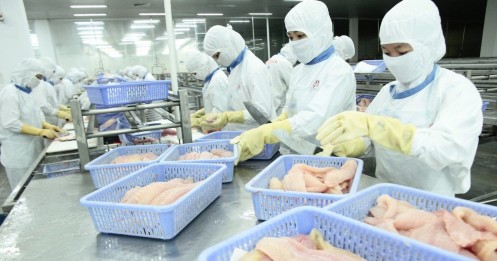 Thực phẩm chế biến Việt Nam dò dẫm vào EU