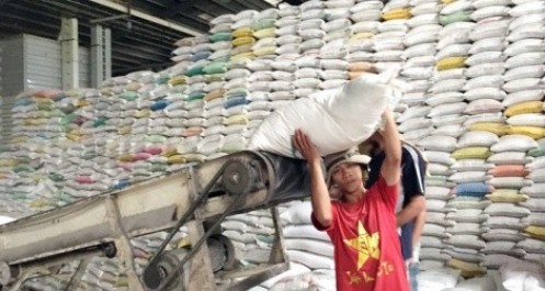 Xuất khẩu gạo ngày càng thêm khó