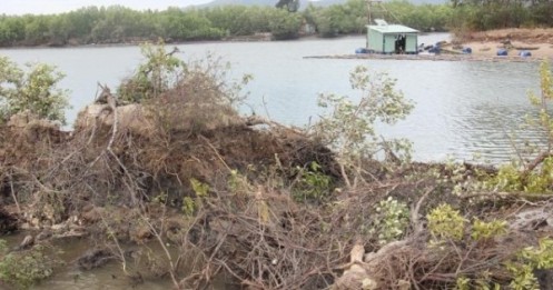 Bình Định:Tỉnh yêu cầu làm rõ trách nhiệm vụ hút cát đầm Thị Nại