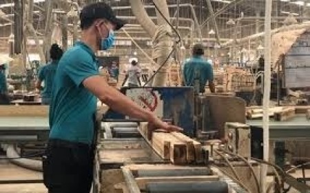 Thách thức lớn nhất của ngành gỗ