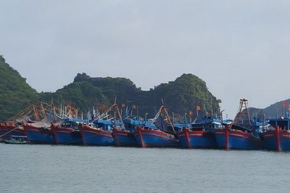 “Thẻ vàng” EU đẩy xuất khẩu hải sản Việt Nam vào thế khó