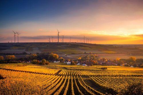 Kinh nghiệm phát triển năng lượng tái tạo ở Đức và Ấn Độ