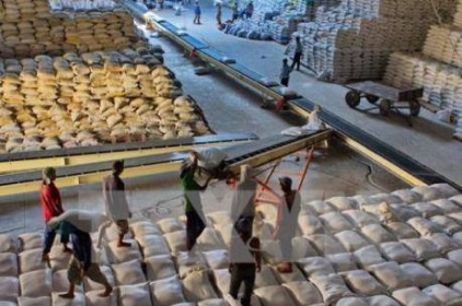 Xuất khẩu gạo 9 tháng: Lượng tăng nhưng giá trị giảm