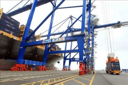 Thủ tướng phê duyệt chủ trương đầu tư 2 bến cảng container quốc tế Hải Phòng