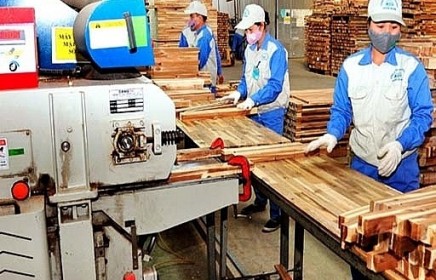 Trùng với sản phẩm Trung Quốc, gỗ Việt xuất khẩu đứng trước cảnh báo đỏ