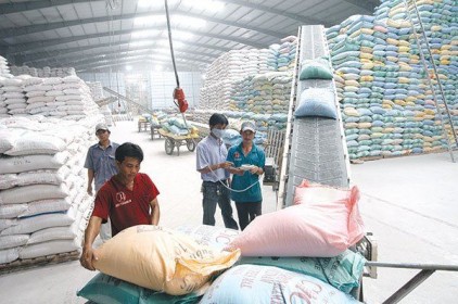 Thị trường xuất khẩu gạo dự báo đón nhận nhu cầu mới từ Singapore, Nhật Bản