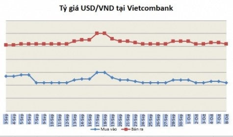 Tỷ giá ngày 8/10: Nối dài chuỗi ổn định