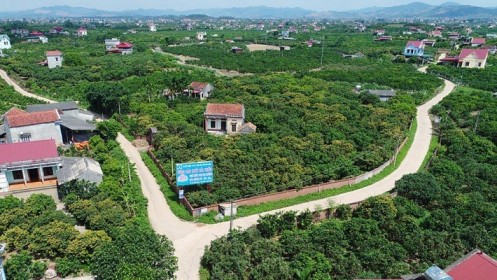Ngày 30/10/2019, đấu giá quyền sử dụng đất tại huyện Lục Ngạn, tỉnh Bắc Giang