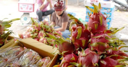 80% nông sản Việt xuất khẩu nhờ thương hiệu nước ngoài, Bộ Nông nghiệp nói gì?