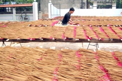 “Chưa doanh nghiệp nào xin được giấy phép xuất khẩu hương sang Ấn Độ”