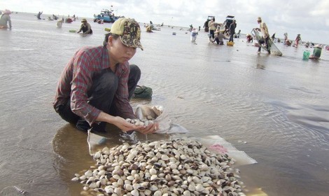 Thêm 3 loại thủy sản Việt Nam được xuất vào Trung Quốc