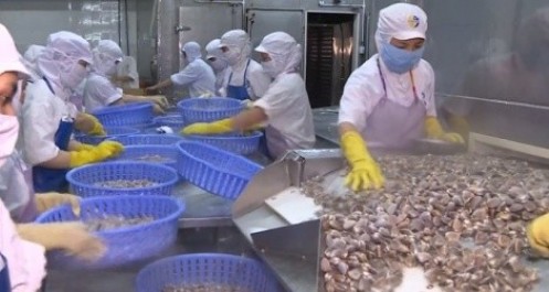 Thêm 3 loại thủy sản Việt Nam được xuất khẩu sang thị trường Trung Quốc