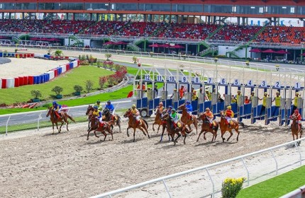 Dự án trường đua ngựa 420 triệu USD tại Hà Nội được trao chứng nhận đầu tư