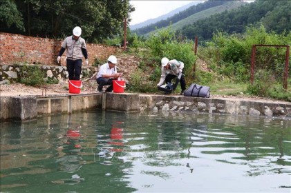 Vụ nước Sông Đà có mùi khét: Khoanh vùng không để dầu tràn ra ngoài