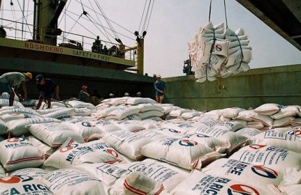 Philippines “cởi trói” cho gạo nhập khẩu nhưng doanh nghiêp Việt vẫn cần cẩn trọng