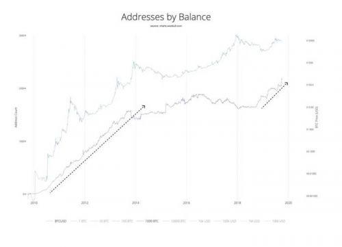Giá tiền ảo hôm nay (15/10): Số địa chỉ ví chứa trên 1.000 Bitcoin vượt mức cao kỷ lục