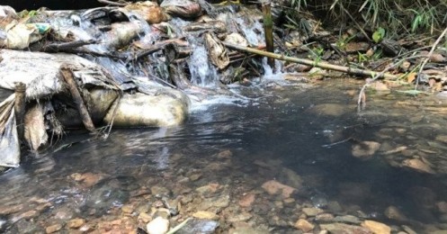 Thủ tướng yêu cầu Bộ Công an điều tra vụ ô nhiễm nguồn nước sạch sông Đà
