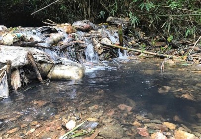 'Công ty nước sạch Sông Đà phải bồi thường thiệt hại hoàn toàn'