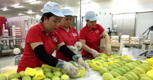Làm thế nào để nông sản Việt tận dụng các FTA, ra thị trường thế giới?