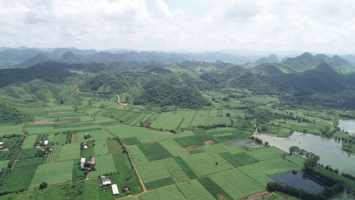Ngày 5/11/2019, đấu giá quyền sử dụng đất tại huyện Yên Thủy, tỉnh Hòa Bình