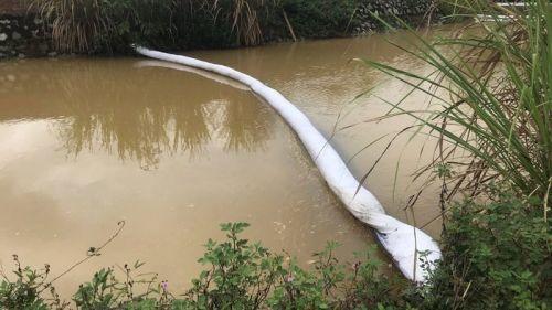 Viwasupco đã nạo vét suối Trâm, lắp 20 điểm lưới lọc dầu thải tại hồ Đầm Bài