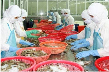 Gần 700 doanh nghiệp chế biến thủy sản được xuất khẩu sang Trung Quốc