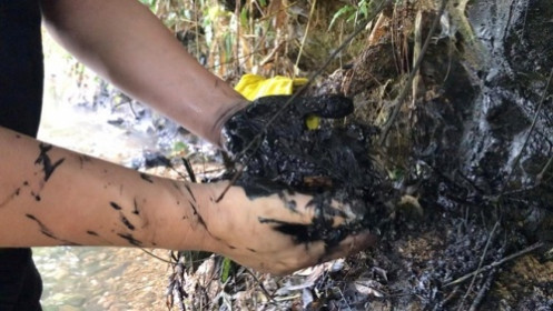 Vụ nước sạch sông Đà nhiễm dầu: Đang xác minh thông tin "nữ giám đốc thuê đổ dầu thải"