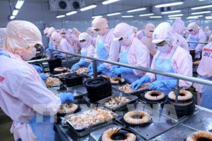 Nhiều "ông lớn" ngành thủy sản ngậm ngùi báo lỗ quý III/2019