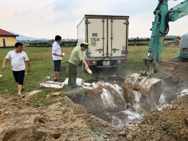 Hà Tĩnh: Cục QLTT tiêu hủy gần 1.200 kg mỡ động vật hôi thối