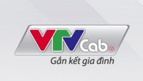 VTVcab thông báo chọn nhà cung cấp dịch vụ thẩm định giá và tư vấn thoái vốn