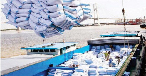 VinaFood 2 tiếp tục báo lỗ quý III gần 20 tỷ đồng do giá xuất khẩu gạo quá thấp