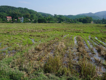 Lại bán dự án 'ma'