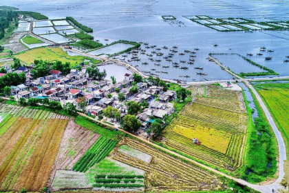 Ngày 28/11/2019, đấu giá quyền sử dụng 16 lô đất tại huyện Quảng Điền, tỉnh Thừa Thiên Huế