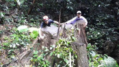 Hàng loạt gỗ lớn vùng lõi Khu bảo tồn Pù Luông bị chặt hạ để lấy... phong lan