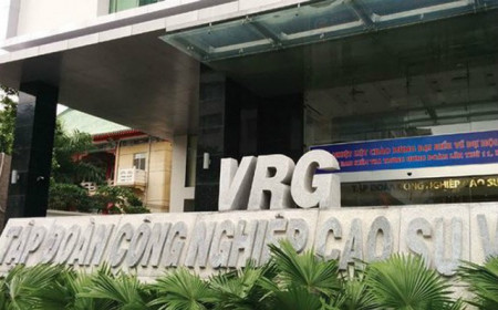 GVR: Lãi ròng quý 3 hơn 980 tỷ đồng