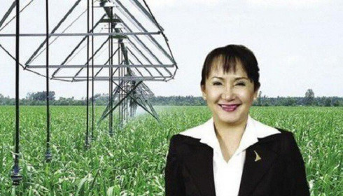 Bà Huỳnh Bích Ngọc giữ chức Chủ tịch SBT thay ông Phạm Hồng Dương