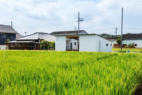 Làm nhà cấp 4 cạnh ruộng lúa, cả làng “thèm thuồng” vì quá đẹp