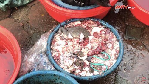 Rợn người hình ảnh ếch Trung Quốc 'ngập' sán bán ở chợ dân sinh