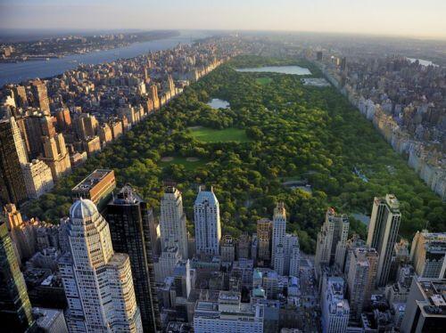 1 triệu USD mua được nhà bao nhiêu m2 tại các thành phố lớn của Mỹ?