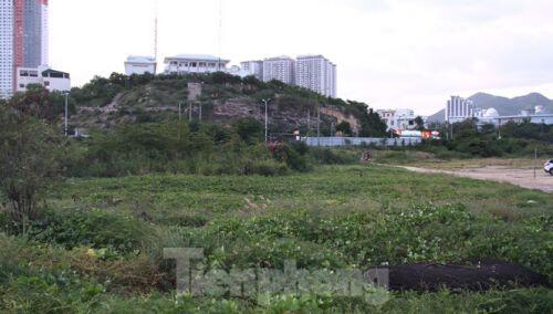 Thu hồi dự án 33 triệu USD lấn biển Nha Trang để xây công viên