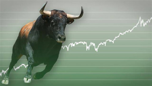 Nhịp đập Thị trường 04/11: Ngân hàng tiếp tục bứt tốc, VN-Index tăng 8 điểm