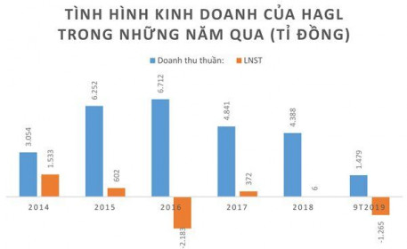 HAGL tái cấu trúc, dấu ấn Thaco ngày càng rõ hơn