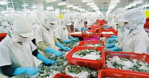 Top đầu thế giới về xuất khẩu, thuỷ sản Việt Nam vẫn đối mặt hàng loạt hạn chế